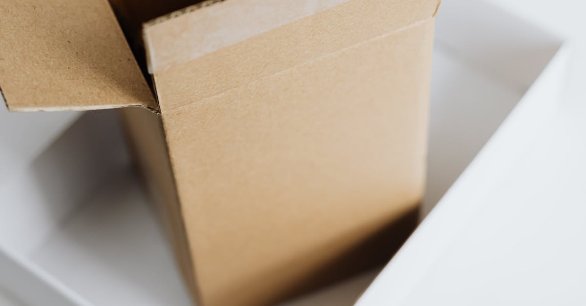 How to Organize a Smooth White Goods Delivery with a 2 Man Delivery Company