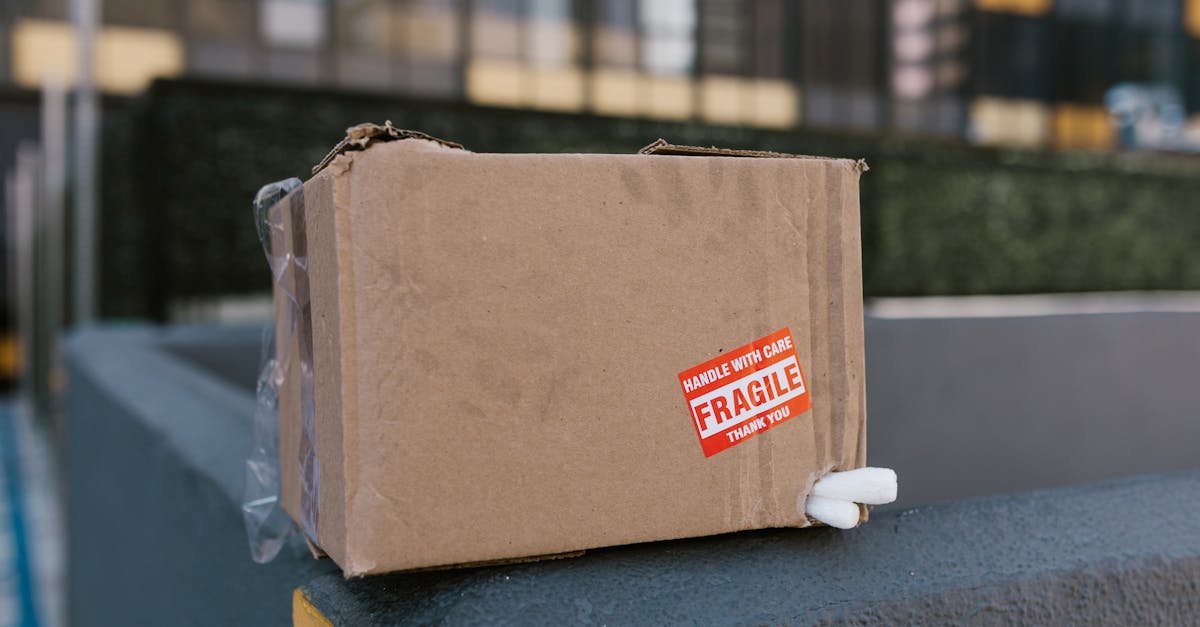 What to Look for in a 2 Man Delivery Company for Large Item Delivery